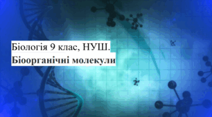 Біоорганічні сполуки 9 клас НУШ (робочий аркуш, "ключі" для вчителя та презентація)