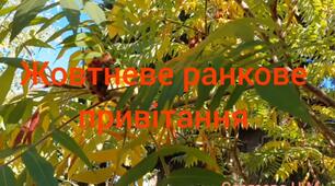 Ранкове привітання ( Жовтневе ранкове привітання)