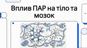 Вплив алкоголю на організм: наука та наслідки