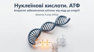 Нуклеїнові кислоти 9 клас НУШ