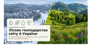 9 клас. Презентація "Лісове господарство світу й України" НУШ