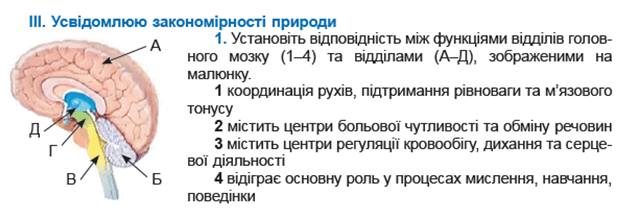 1100dnxc-c985-779x277.png
