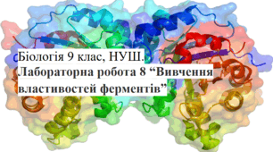 Лабораторна робота 8 Вивчення властивостей ферментів Біологія 9 клас НУШ (Робочий аркуш+ "ключі" до нього)