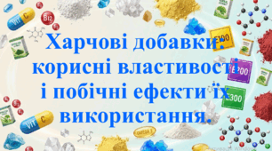 Природничі науки. 11 клас. Презентація до уроку: Харчові добавки: корисні властивості і побічні ефекти їх використання. Практична робота: Дослідження складу харчових продуктів за інформацією етикетки товару.