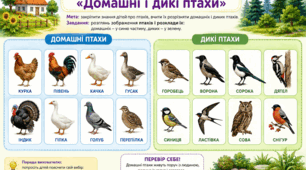 Дидактична гра. «Домашні і дикі птахи»