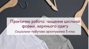 Презентація "Практична робота: чищення шкільної форми, верхнього одягу " СПО 5 клас
