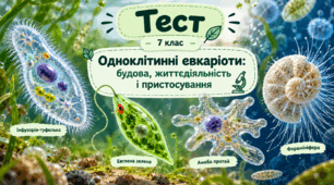 Одноклітинні евкаріоти: будова, життєдіяльність і пристосування