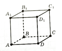 1100dubf-6a9a-216x177.png