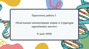 Практична робота 1 «Розв’язання елементарних вправ зі структури нуклеїнових кислот» 9 клас НУШ