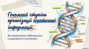 Презентація, розробка уроку, навчальне відео на тему "Геномний ступень організації генетичноїінформації. Геном та його характеристика. Організація генетичної інформації в клітинах.  Геном людини." 9 клас НУШ. Соболь В.І.