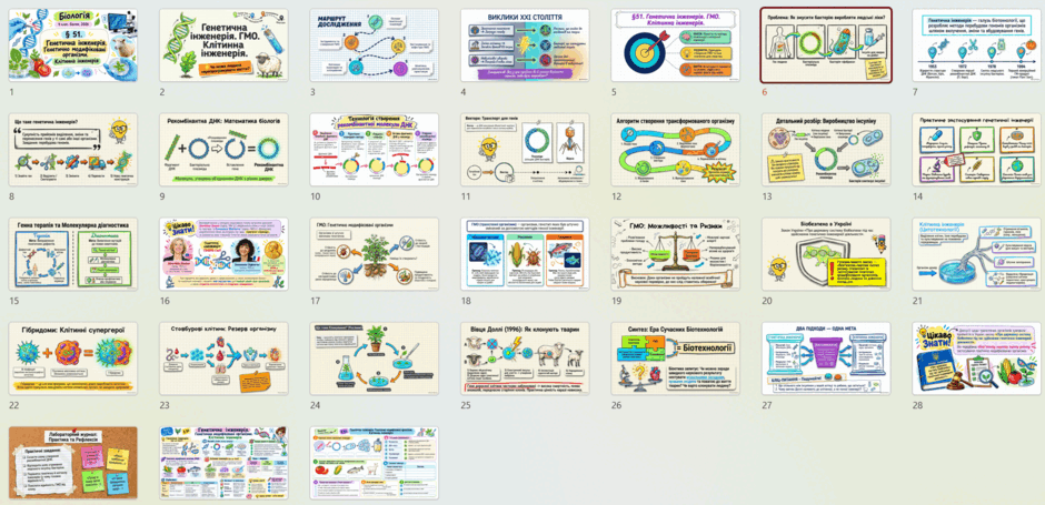 1100dygy-006a-940x455.png
