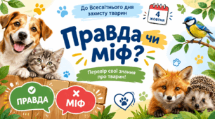 День захисту тварин "Правда чи міф?"