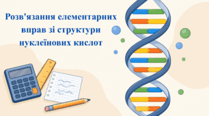Біологія 9 клас (НУШ) - Практична робота: «Розв'язання елементарних вправ зі структури нуклеїнових кислот».