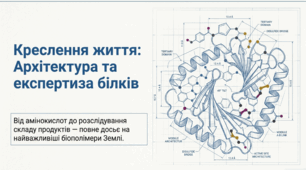 Білки як біологічні полімери. Якісні реакції для виявлення білків