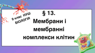 Презентація  до уроку  «§ 13.Мембрани і мембранні комплекси клітин»   9 клас  НУШ  Біологія