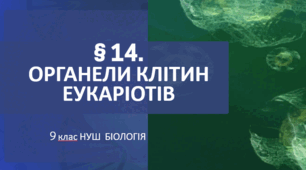 Презентація  до уроку  «§ 14. Органели клітин еукаріотів»  9 клас  НУШ   Біологія