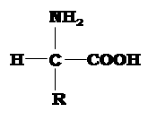 1100e13b-a6c5-174x144.png