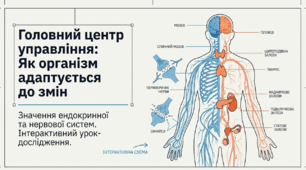 Презентація "Значення ендокринної та нервової систем для адаптації в людей і тварин" 11 клас (проф)