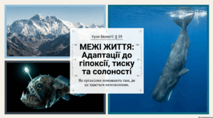 Презентація "Адаптації людини й тварин до гіпоксії, тиску, концентрації солей" 11 клас (проф)