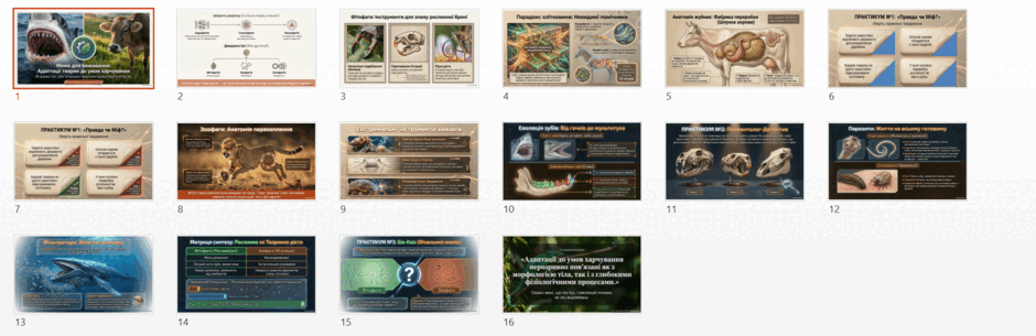 1100e17z-388a-940x305.png