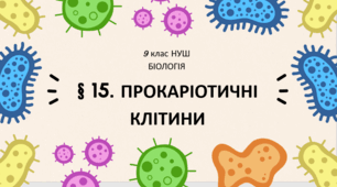 Презентація  до уроку  «§ 15. Прокаріотичні клітини»    9 клас  НУШ    Біологія