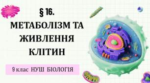 Презентація  до уроку  «§ 16. Метаболізм та живлення»   9 клас    НУШ  Біологія