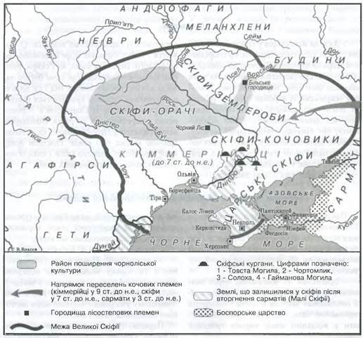 1100e2e2-8df2-517x481.jpg