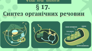 Презентація  до уроку  «§ 17.Синтез органічних речовин»   9 клас  НУШ  Біологія