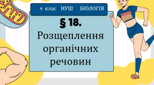 Презентація  до уроку  «§ 18. Розщеплення органічних речовин»    9 клас    НУШ   Біологія
