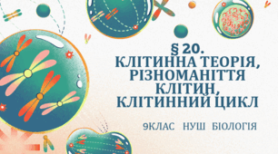 Презентація  до уроку  «§ 20. Клітинна  теорія. Різноманіття клітин. Клітинний цикл»  9 клас   НУШ  Біологія