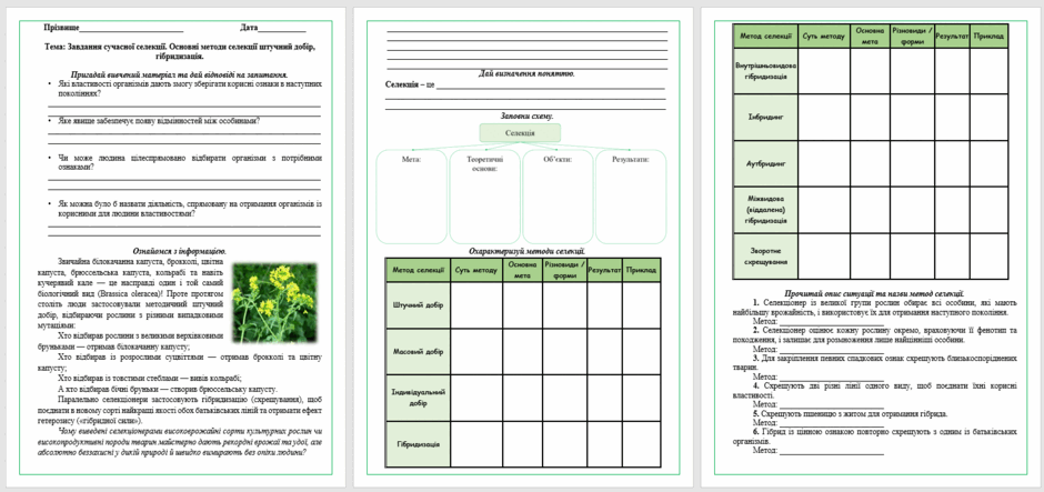 1100e4vf-afa1-940x443.png