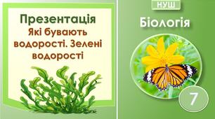 Презентація "Які бувають водорості. Зелені водорості". Біологія 7 клас НУШ