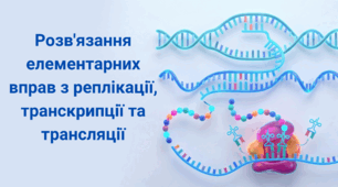  Біологія 9 клас (НУШ) - Практична робота: «Розв'язання елементарних вправ з реплікації, транскрипції та трансляції»