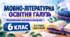 Мовно-літературна освітня галузь. 6 клас. Модифіковані навчальні програми. II-V рівні підтримки