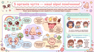 Урок 18. Які є органи чуття у людини?