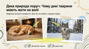 Презентація "Дика природа поруч: Чому дикі тварини мають жити на волі" (до Всесвітнього дня захисту тварин - 4 жовтня)