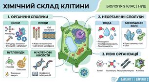 Біологія. 9 клас. НУШ. Перевірочна робота на тему: Хімічний склад клітини (9 клас НУШ)