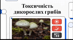 Відеоогляд "Обережно, гриби!"