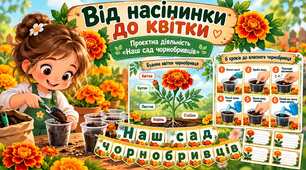 Проєктна діяльність «Наш сад чорнобривців». Від насінинки до квітки🌻