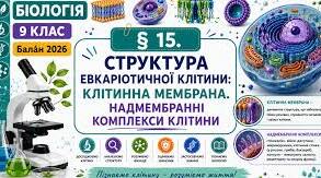 Кросворд § 15. Структура евкаріотичної клітини: клітинна мембрана. Надмембранні комплекси клітини