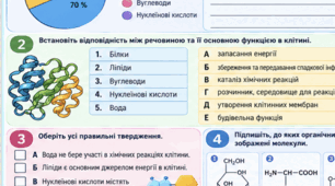 Контрольна робота "Хімічний склад клітини " (Діагностична) 9 клас Балан