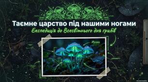 3 жовтня - Всесвітній день грибника. Презентація "Таємне царство під нашими ногами"