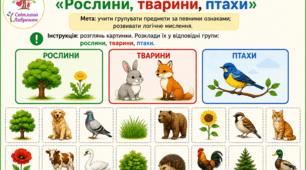 Дидактична гра "Рослини, тварини, птахи"
