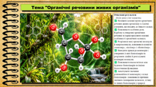 Органічні речовини живих організмів. Біологія. 9 клас НУШ (2026). До підручника Задорожний О. та ін.
