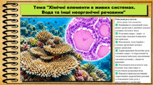 Хімічні елементи в живих системах. Вода та інші неорганічні речовини. Біологія. 9 клас НУШ (2026). До підручника Задорожний О. та ін.