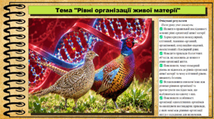 Рівні організації живої матерії. Біологія. 9 клас НУШ (2026). До підручника Задорожний О. та ін.