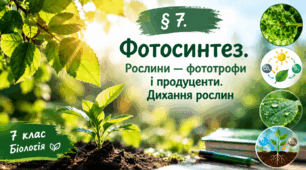 § 7. Фотосинтез. Рослини — фототрофи і продуценти. Дихання рослин