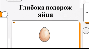 Відеоогляд "9 жовтня - Всесвітній день яйця"