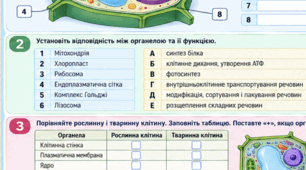Контрольна робота «Клітина — структурно-функціональна одиниця»