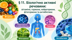 Біологічно активні речовини: вітаміни, гормони, нейрогормони, фітогормони та антибіотики